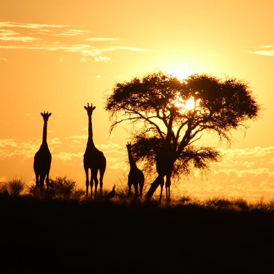 Kalahari Red Dunes Lodge Kalkrand Экстерьер фото